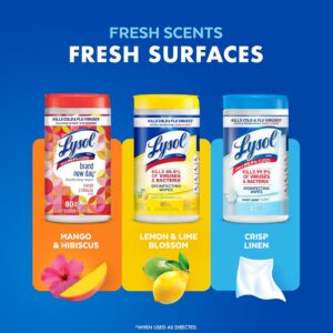Lysol Multi-Surface Disinfecting Wipes Bundle Review
