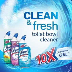 Lysol Toilet Bowl Gel Cleaner Review
