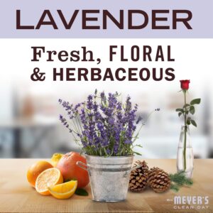 Mrs. Meyer’s Clean Day Lavender Liquid Hand Soap Refill Review