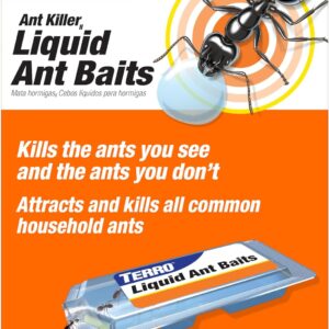 TERRO Ant Killer Bait Stations T300B
