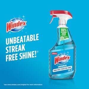 Windex Glass & Window Cleaner Review